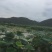 莲藕373511~13厘米10~15厘米以上