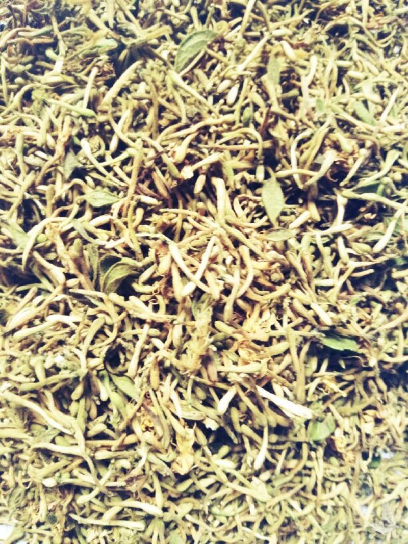 金银花