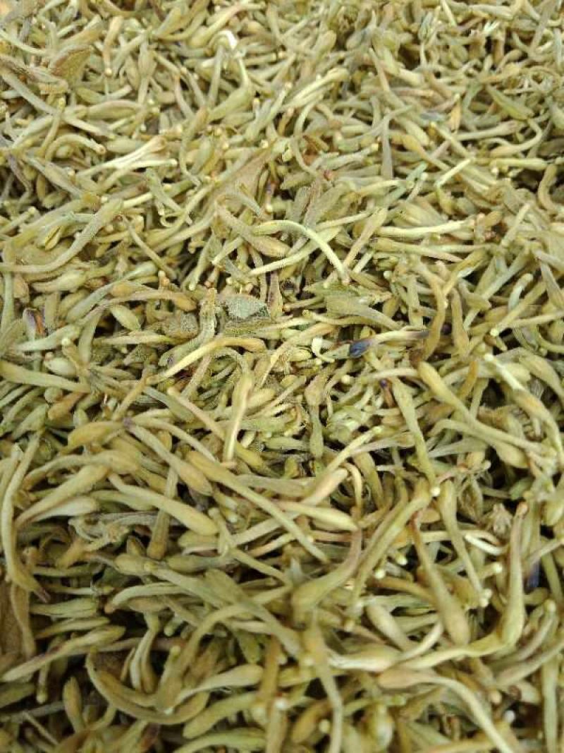 金银花