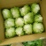 球生菜太白结球生菜欢迎咨询