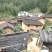 广西来宾市金秀县大瑶山野生黑灵芝