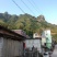 广西来宾市金秀县大瑶山野生黑灵芝