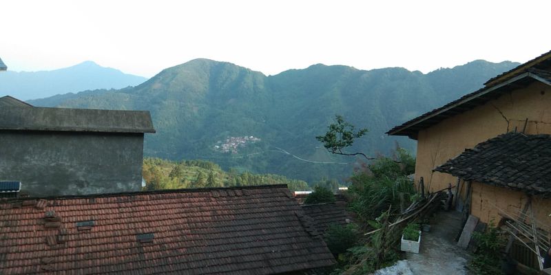 广西来宾市金秀县大瑶山野生黑灵芝