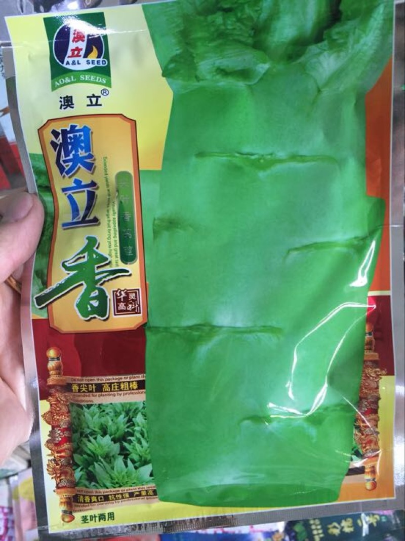 莴笋种子