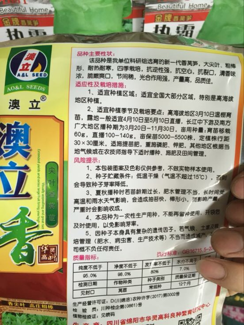 莴笋种子