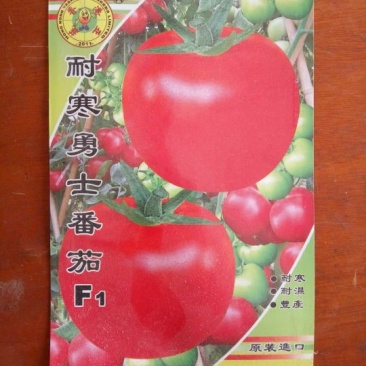 耐寒勇士番茄种子5克装