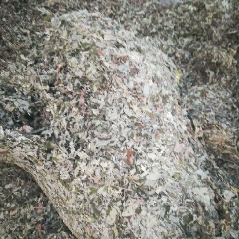 艾叶艾绒艾产品，另有艾苗销售。有需要者联