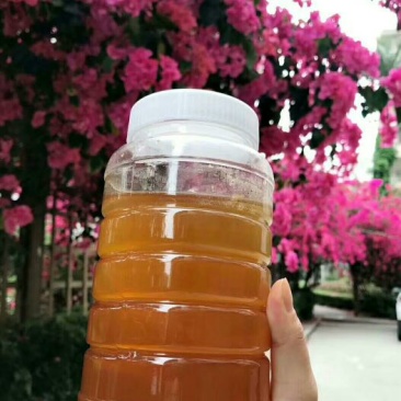 茘枝蜜两斤装