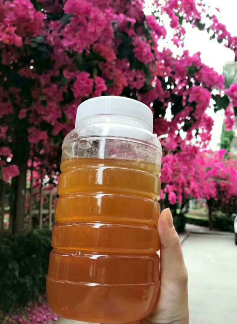 茘枝蜜两斤装