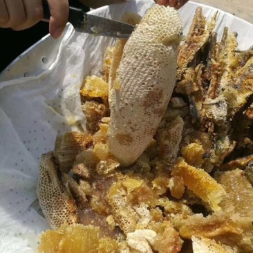 野生蜂蜜大挂蜜岩蜜小挂蜜土蜂蜜黑晶蜜土酸蜂蜜