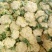 白面青梗松花菜2~3斤散花乳白