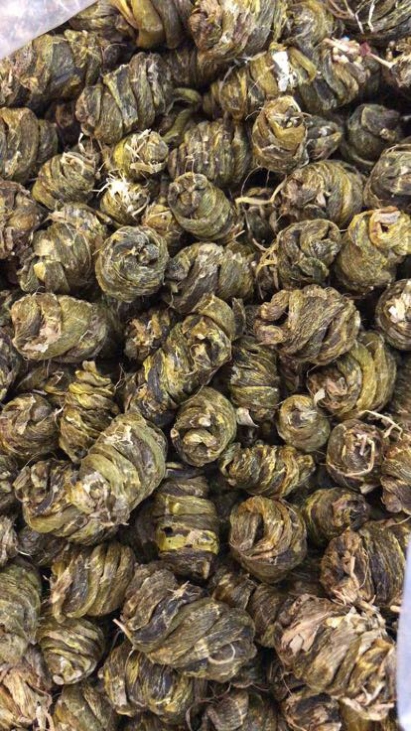 铁皮石斛枫斗