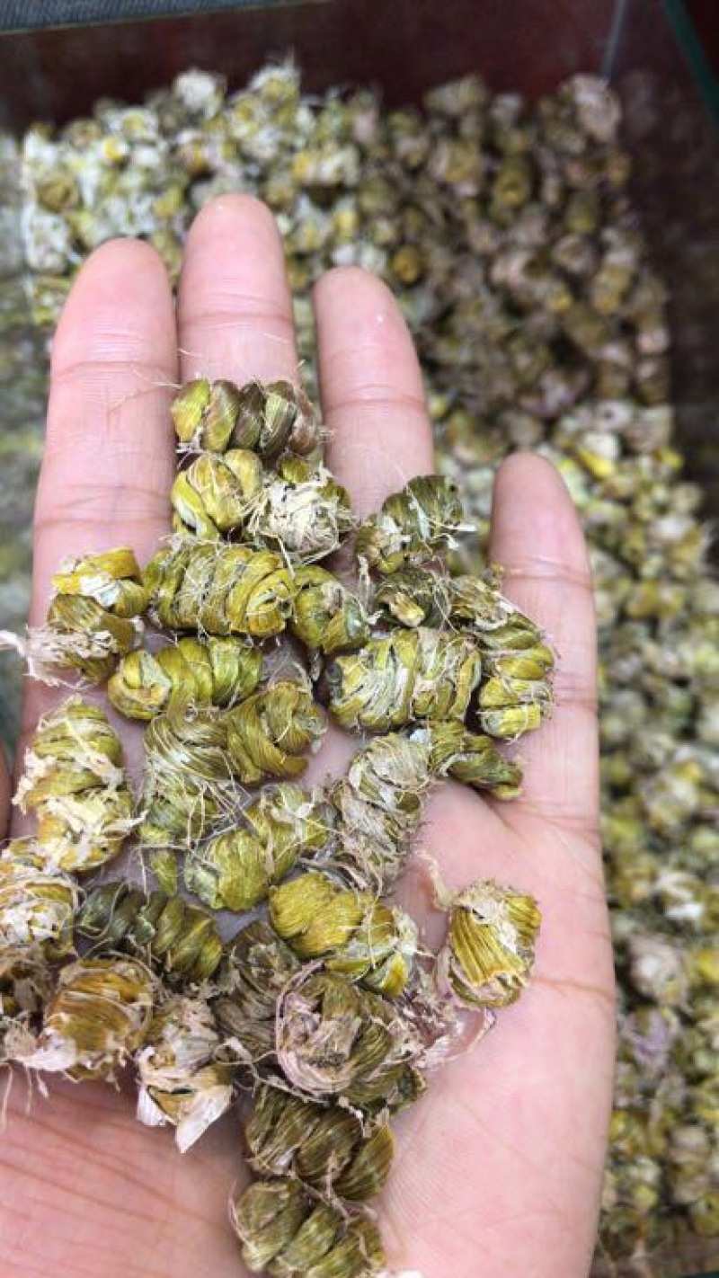 铁皮石斛枫斗
