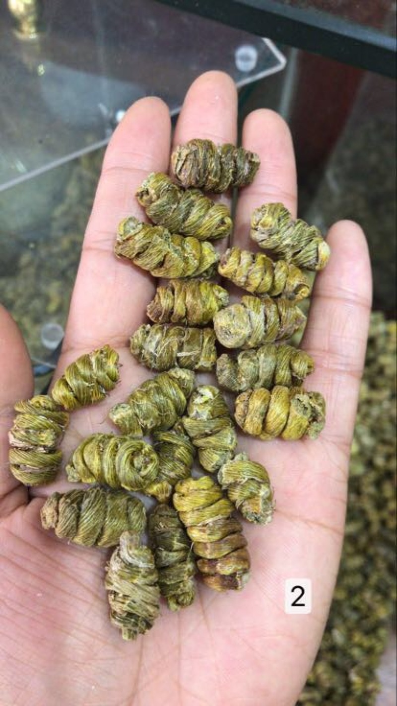 铁皮石斛枫斗