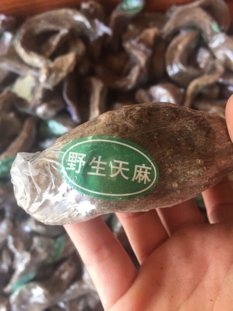仿野生天麻小天麻小个