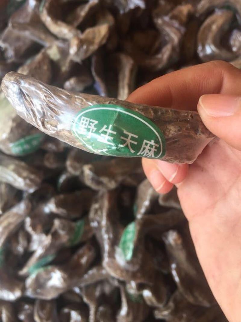 仿野生天麻小天麻小个