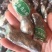 仿野生天麻小天麻小个