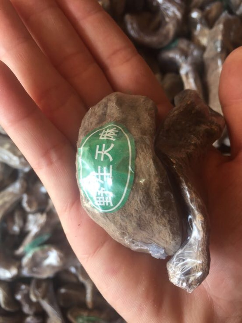 仿野生天麻小天麻小个