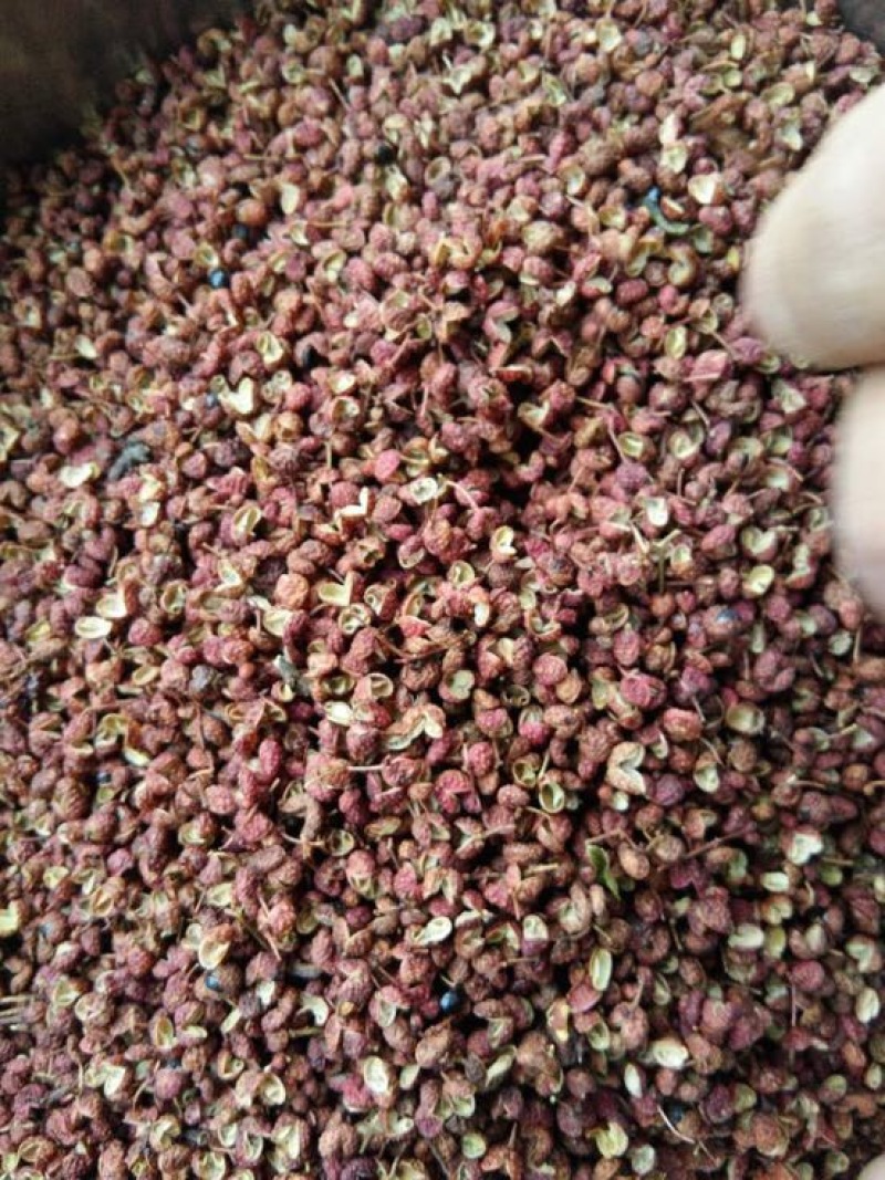 大红袍花椒特级干