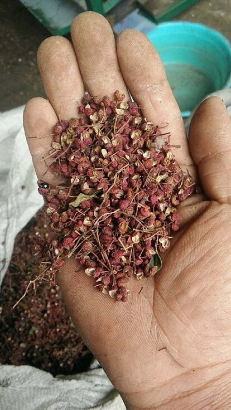 大红袍花椒特级干
