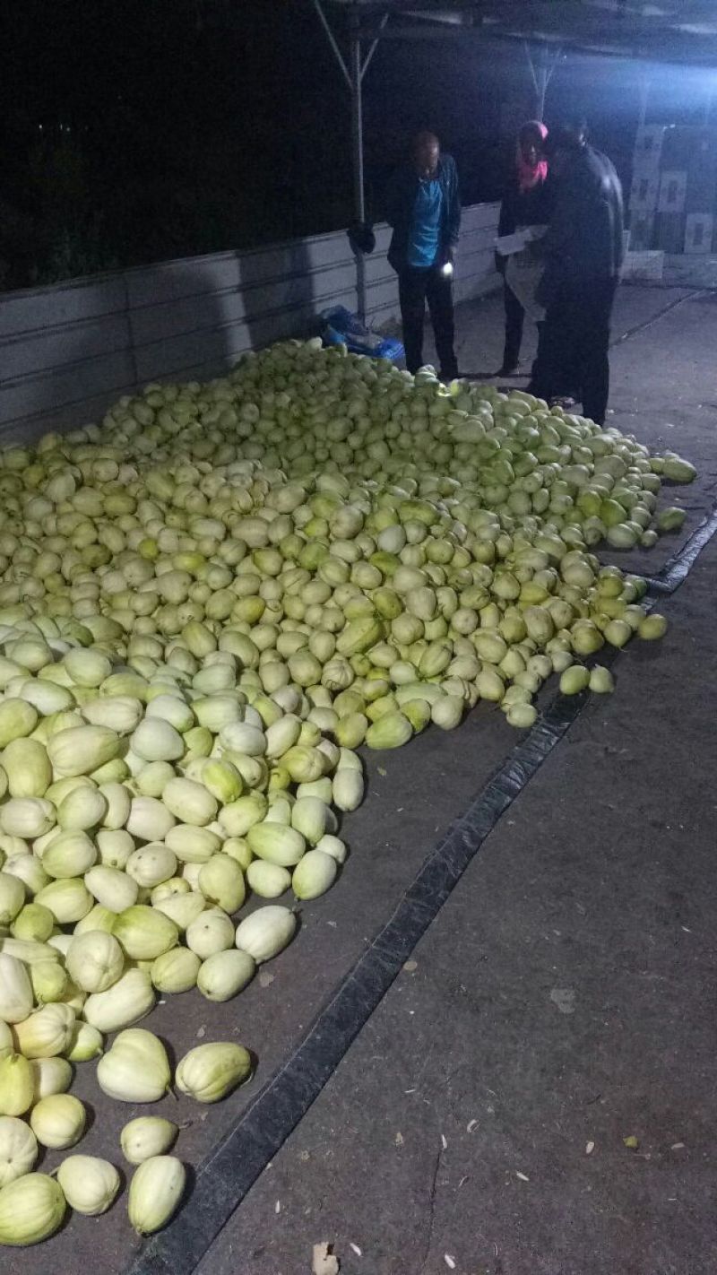 这么好的瓜，太便宜了。瓦房店