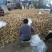 山东聊城万亩冷棚土豆大量上市中。供应量大价格便宜