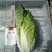河北黄心娃娃菜