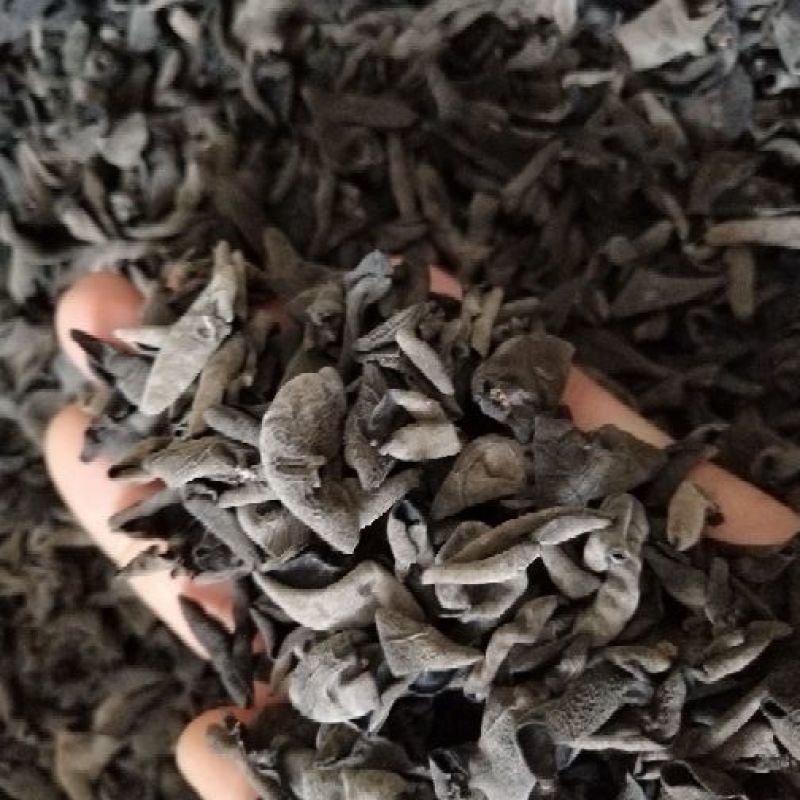 吉林秋耳小碗耳东北秋耳