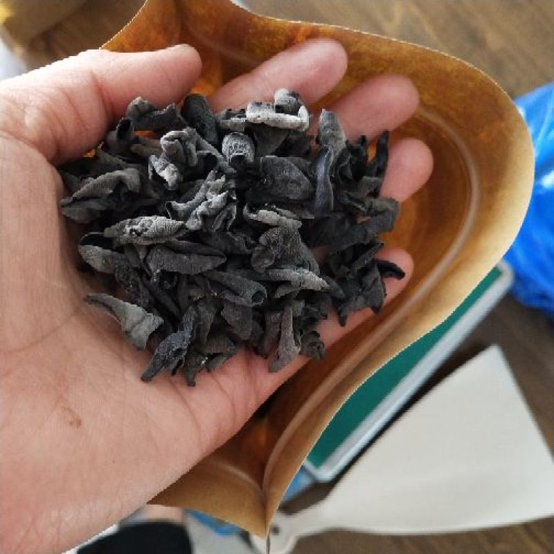 吉林秋耳小碗耳东北秋耳