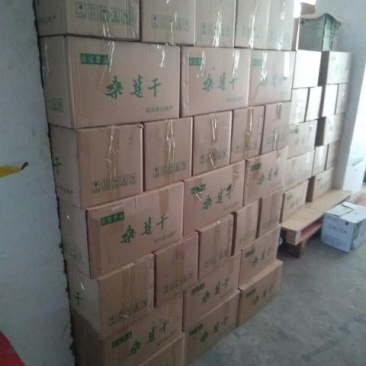 烘干桑葚干