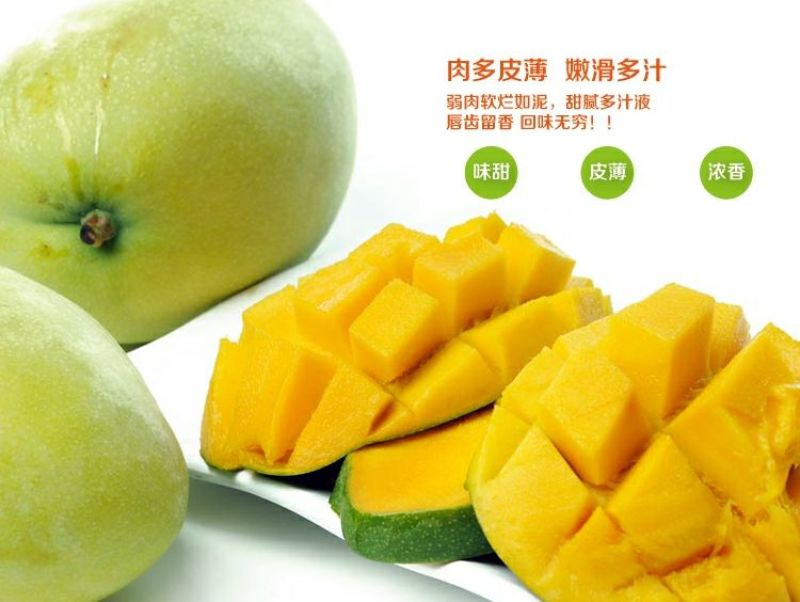凯特芒