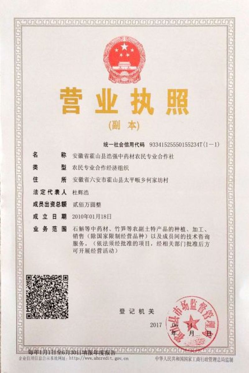 霍山石斛铁皮石斛石斛枫斗，合作社自产，可以打粉