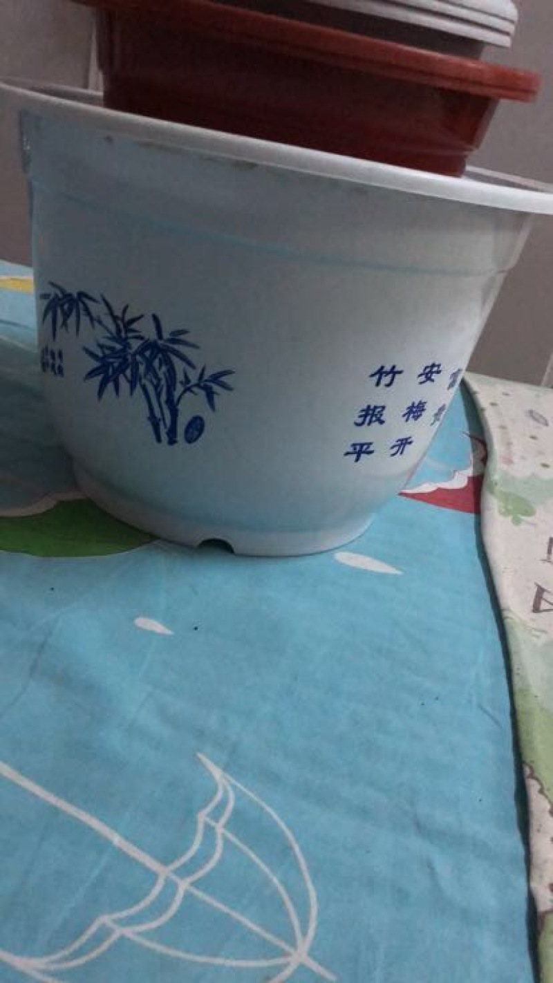 花盆塑料育苗花盆，硬质花盆，红花盆白花盆