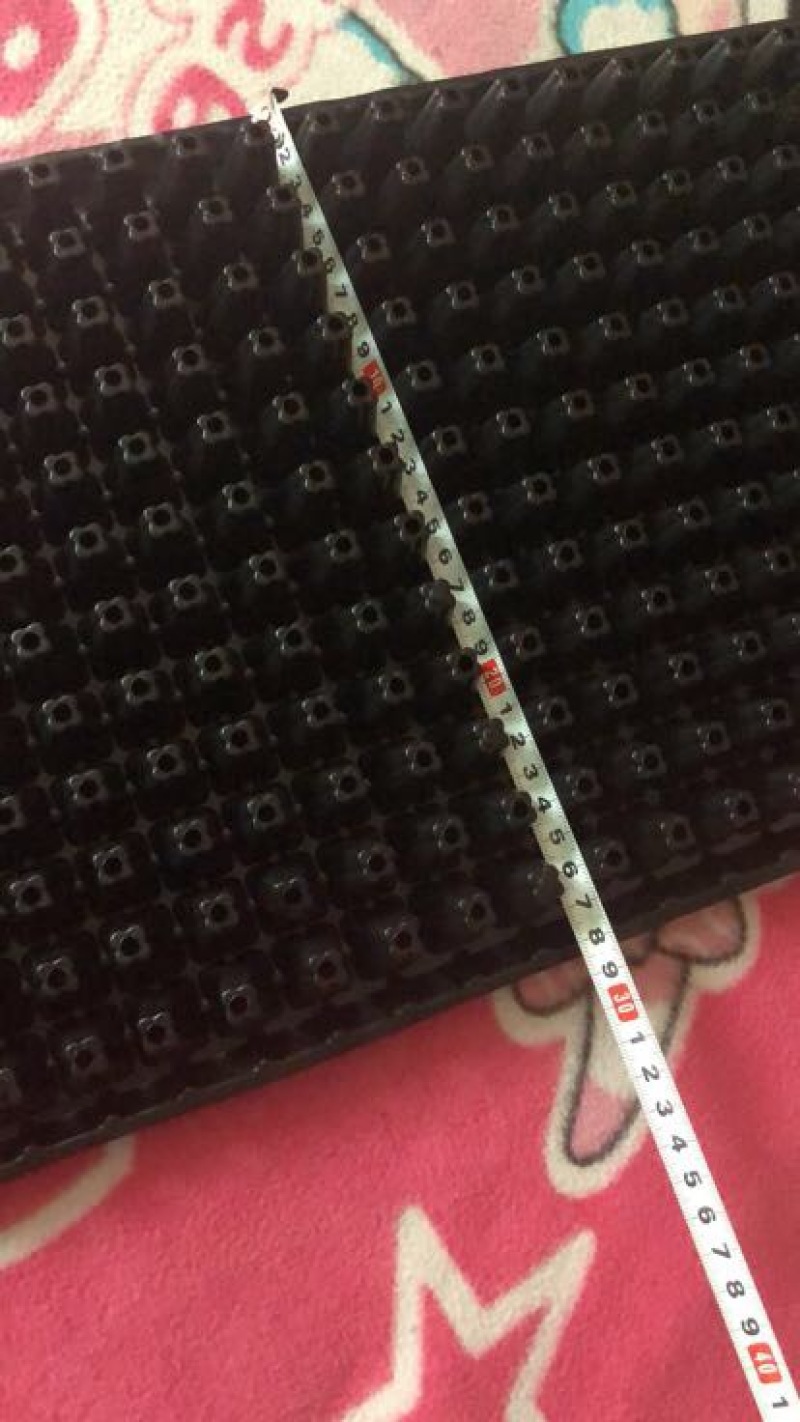 穴盘育苗盘营养盘，育苗穴盘，苗盘植物育苗专用盘