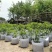 植树袋美植袋，育苗袋，无纺布植树袋，无纺布育苗容器