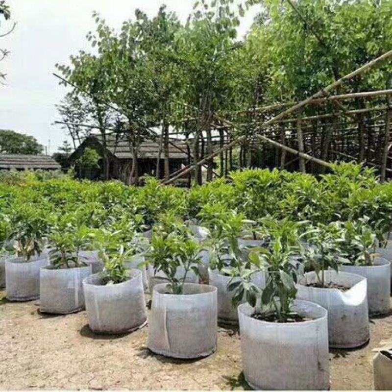 植树袋美植袋，育苗袋，无纺布植树袋，无纺布育苗容器