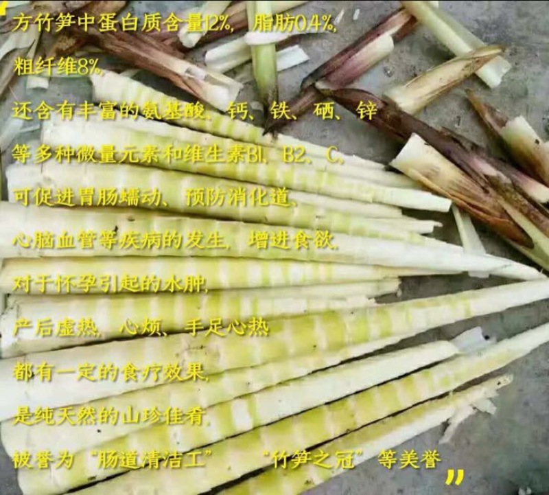 金佛山方竹笋专卖，欢迎采购。