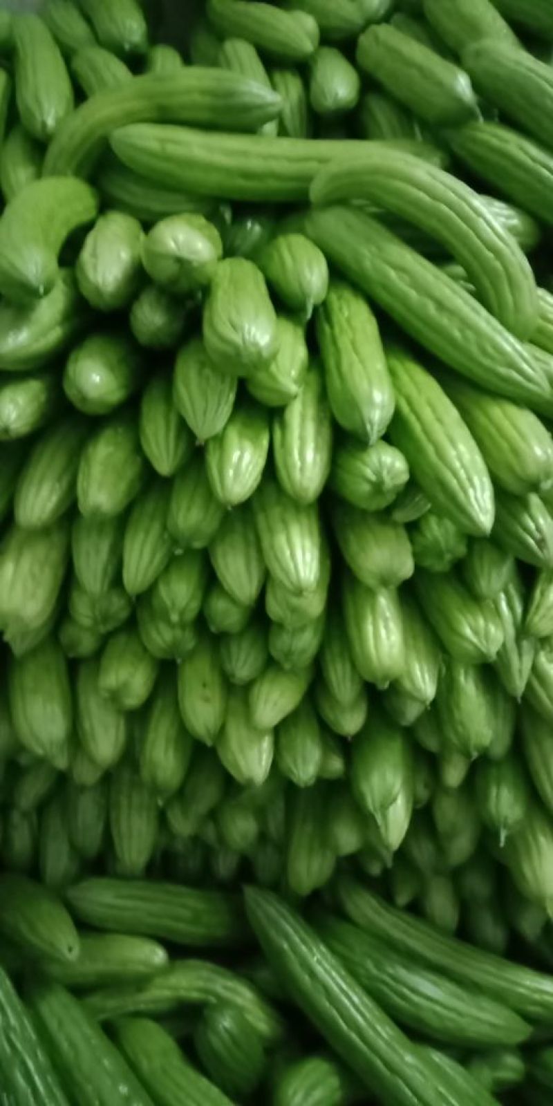 葫芦