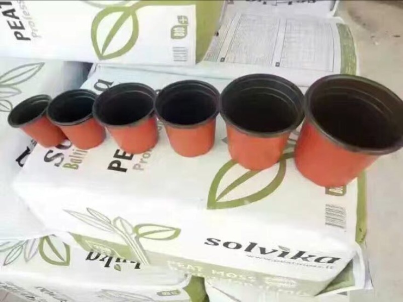河北育苗用具双色盆双色软花盆外洪内黑花盆吸塑花盆