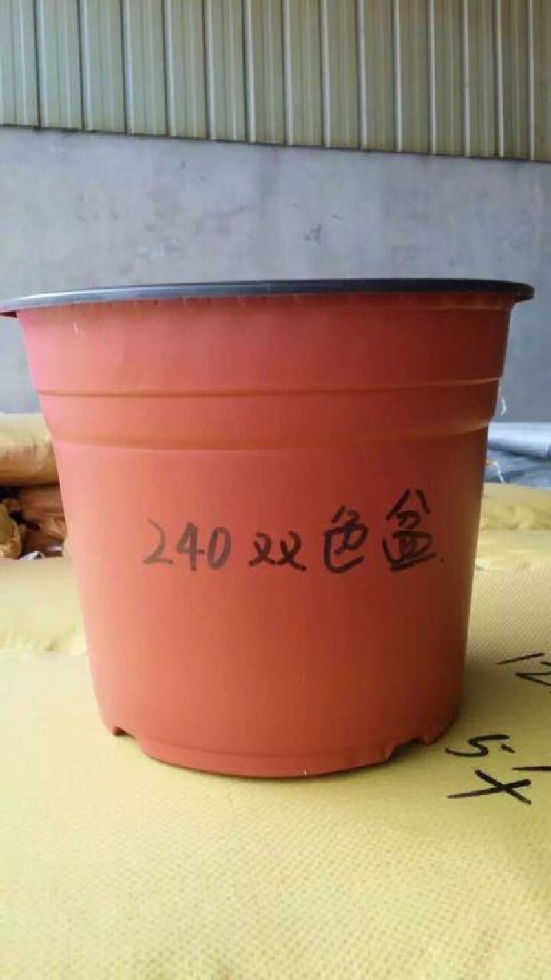 河北育苗用具双色盆双色软花盆外洪内黑花盆吸塑花盆