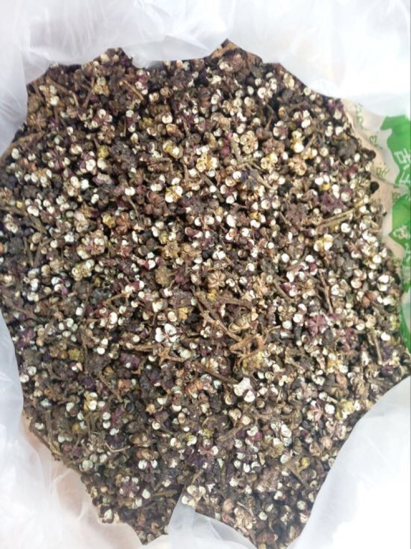 吴茱萸中花统