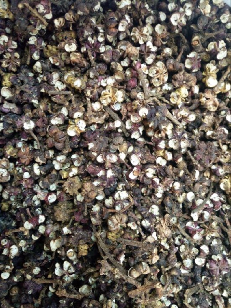 吴茱萸中花统