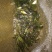 罗非鱼苗