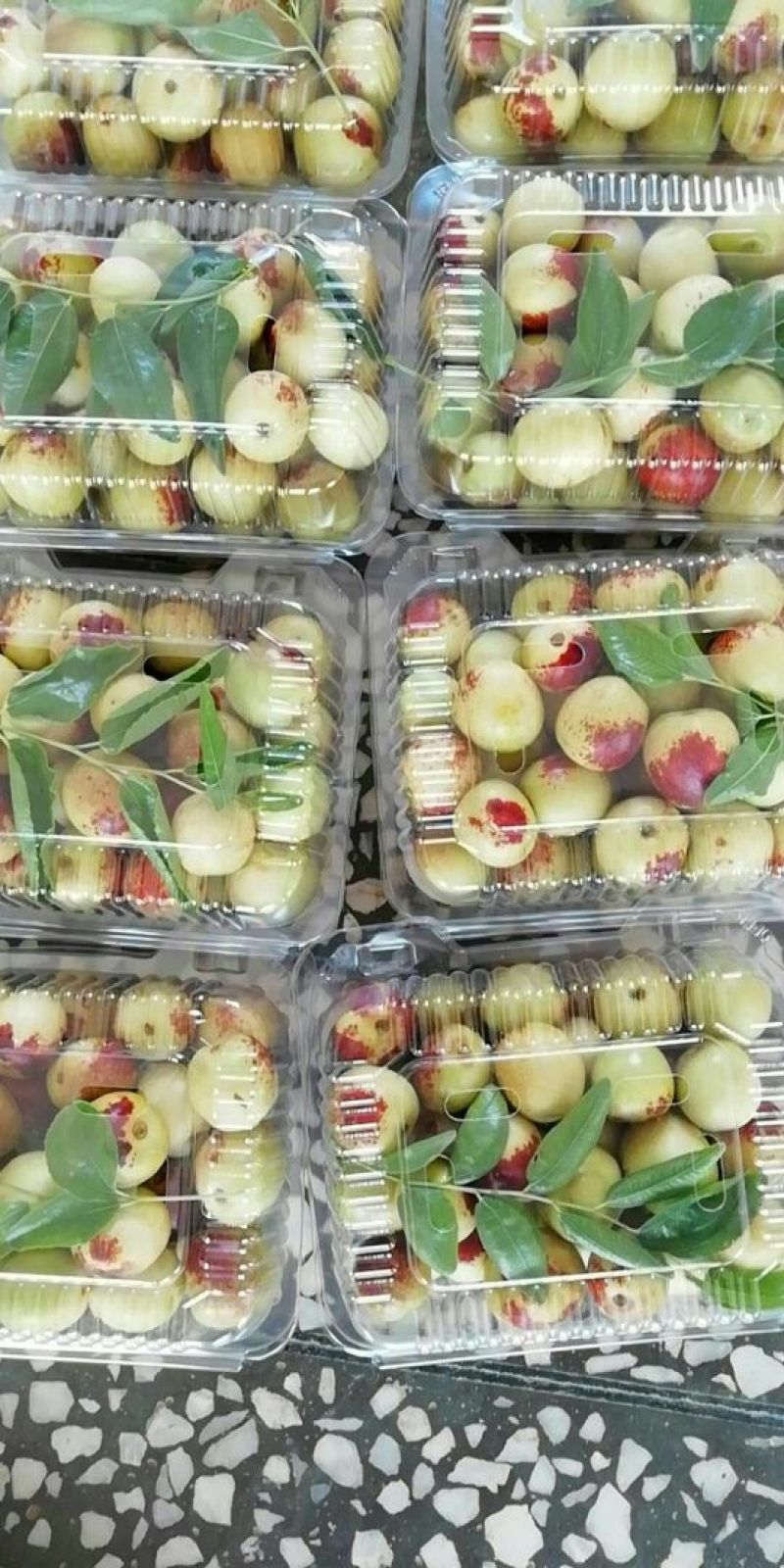 大荔水果冬枣大量上市了，