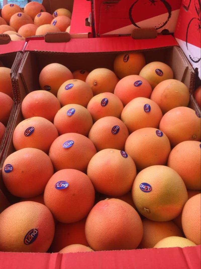 【有好货】葡萄柚南非以色列埃及福建红心西柚