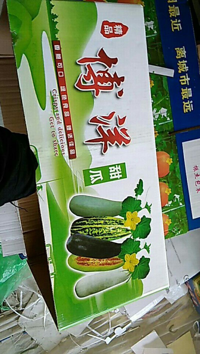 博洋蜜瓜，3月初上市精品博洋9号皮薄脆甜
