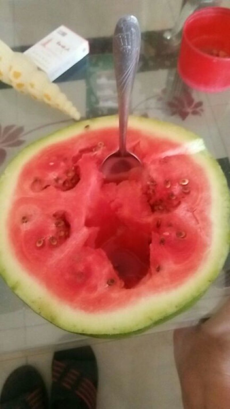 9号西瓜