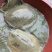 黄沙老鳖，种苗