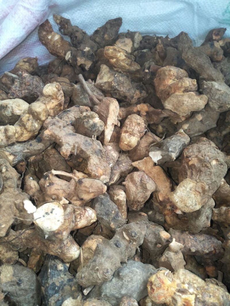 成个野生土茯苓干货，精品