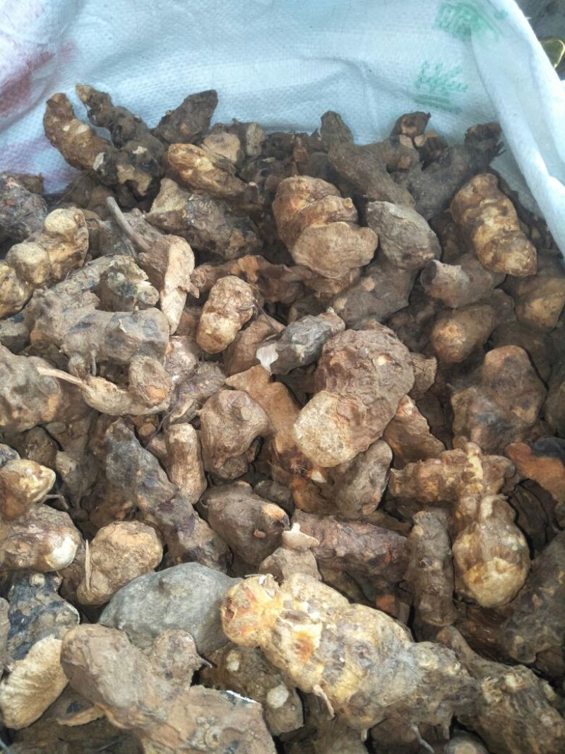 成个野生土茯苓干货，精品